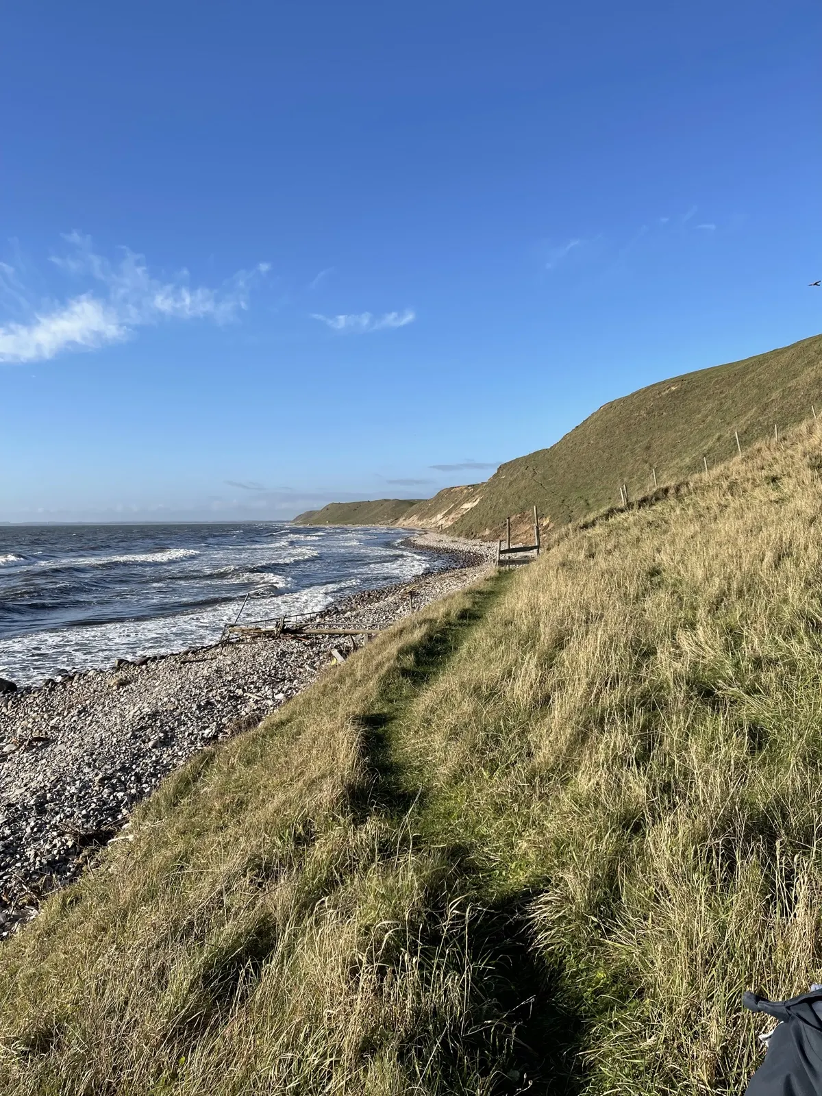 En gräsbevuxen slänt och en stenstrand längs havet en klar dag