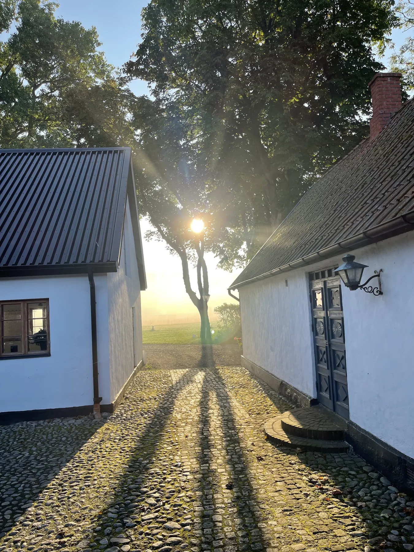 Morgonsolen lyser mellan två vita hus över en kullerstensgård